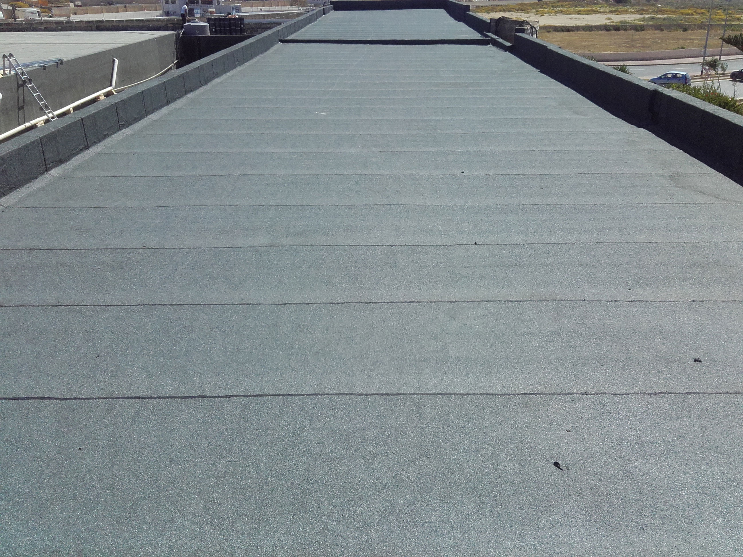 Carpet Membrane Roofs 2
